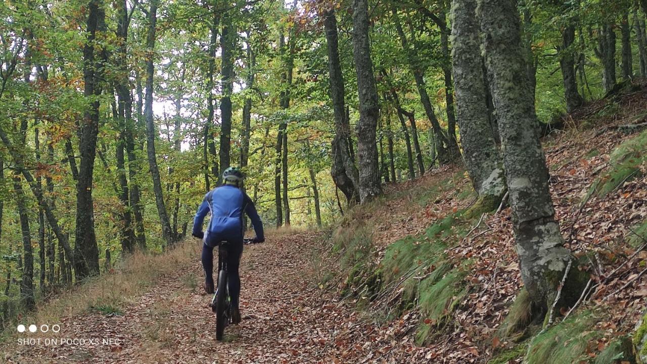 Montes De Lillo --Vut Le 625 Διαμέρισμα Puebla de Lillo Εξωτερικό φωτογραφία