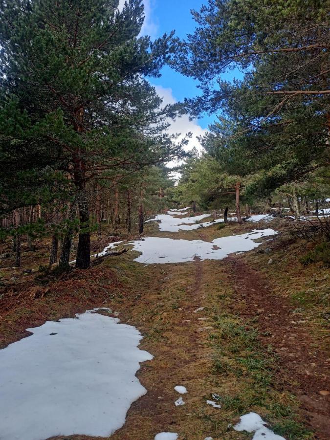 Montes De Lillo --Vut Le 625 Διαμέρισμα Puebla de Lillo Εξωτερικό φωτογραφία