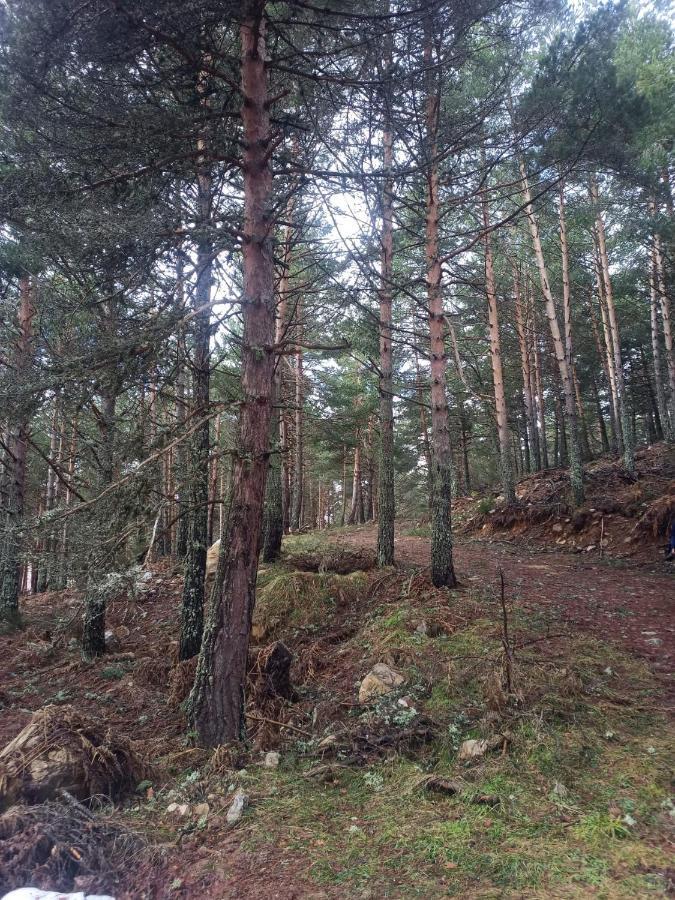 Montes De Lillo --Vut Le 625 Διαμέρισμα Puebla de Lillo Εξωτερικό φωτογραφία